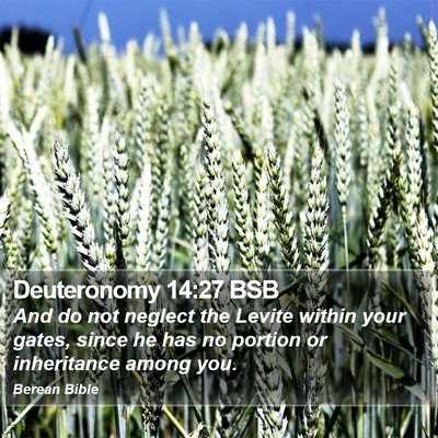 Deuteronomy 14:27 BSB Bible Verse Image