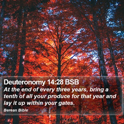 Deuteronomy 14:28 BSB Bible Verse Image