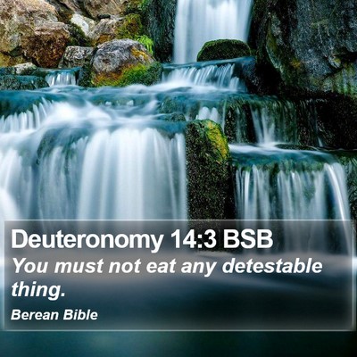 Deuteronomy 14:3 BSB Bible Verse Image