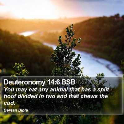 Deuteronomy 14:6 BSB Bible Verse Image