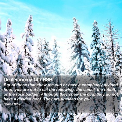 Deuteronomy 14:7 BSB Bible Verse Image