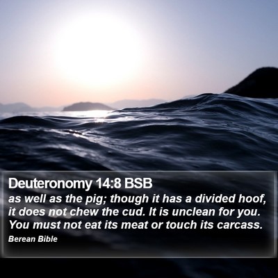 Deuteronomy 14:8 BSB Bible Verse Image
