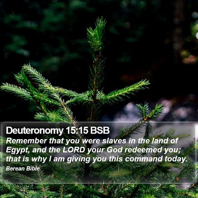 Deuteronomy 15:15 BSB Bible Verse Image