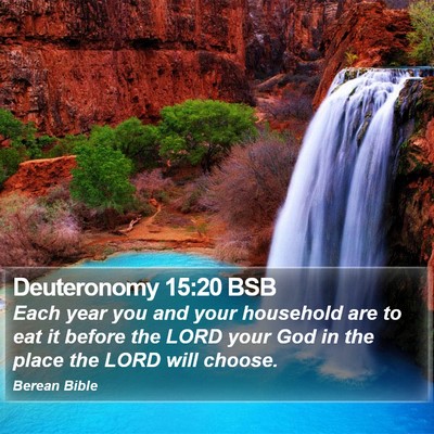 Deuteronomy 15:20 BSB Bible Verse Image