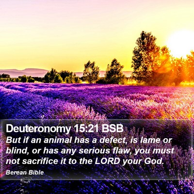 Deuteronomy 15:21 BSB Bible Verse Image