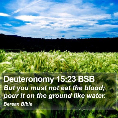 Deuteronomy 15:23 BSB Bible Verse Image