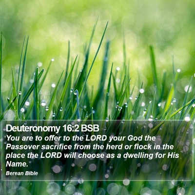 Deuteronomy 16:2 BSB Bible Verse Image