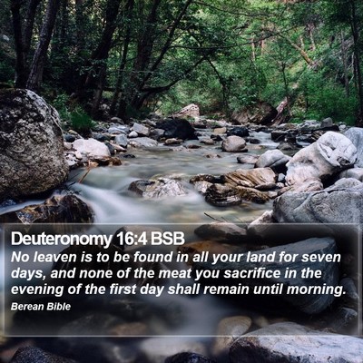 Deuteronomy 16:4 BSB Bible Verse Image