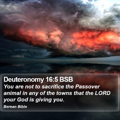 Deuteronomy 16:5 BSB Bible Verse Image
