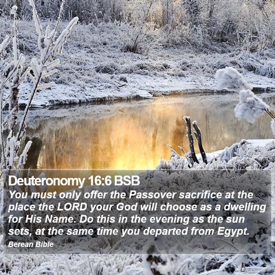 Deuteronomy 16:6 BSB Bible Verse Image