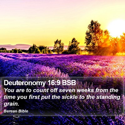 Deuteronomy 16:9 BSB Bible Verse Image