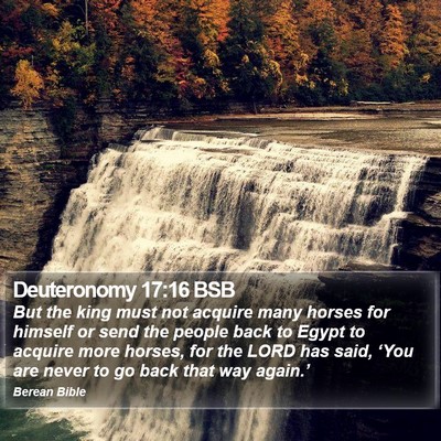 Deuteronomy 17:16 BSB Bible Verse Image