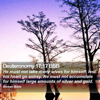 Deuteronomy 17:17 BSB Bible Verse Image