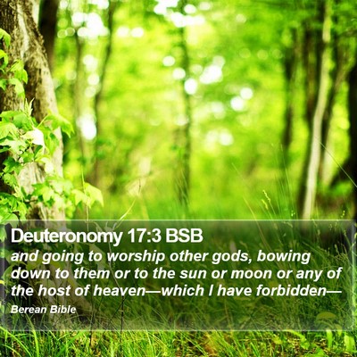 Deuteronomy 17:3 BSB Bible Verse Image