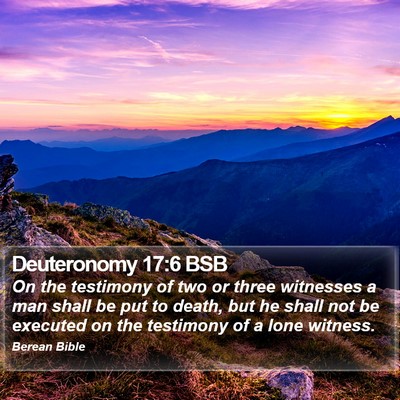 Deuteronomy 17:6 BSB Bible Verse Image