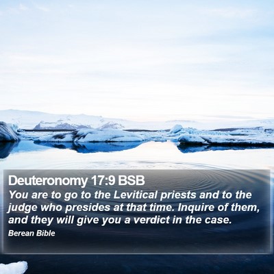 Deuteronomy 17:9 BSB Bible Verse Image