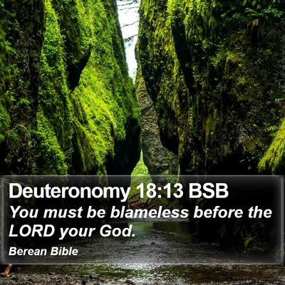 Deuteronomy 18:13 BSB Bible Verse Image