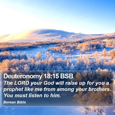 Deuteronomy 18:15 BSB Bible Verse Image