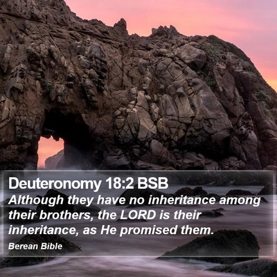Deuteronomy 18:2 BSB Bible Verse Image