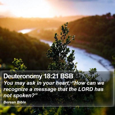 Deuteronomy 18:21 BSB Bible Verse Image