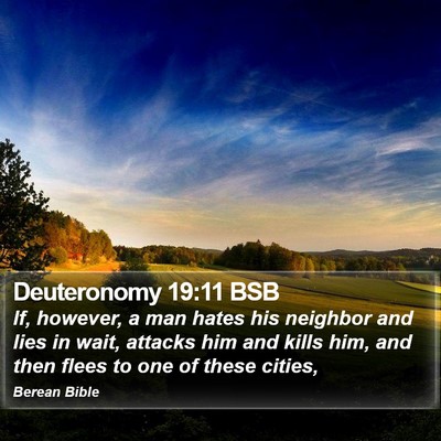 Deuteronomy 19:11 BSB Bible Verse Image