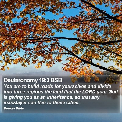 Deuteronomy 19:3 BSB Bible Verse Image