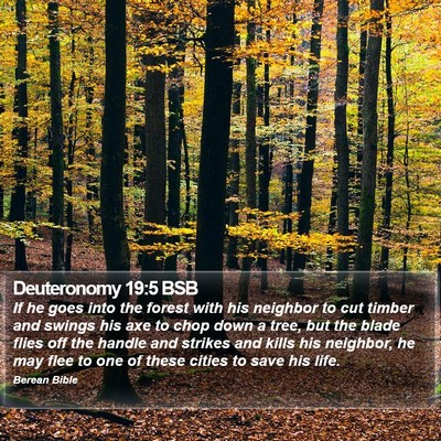 Deuteronomy 19:5 BSB Bible Verse Image