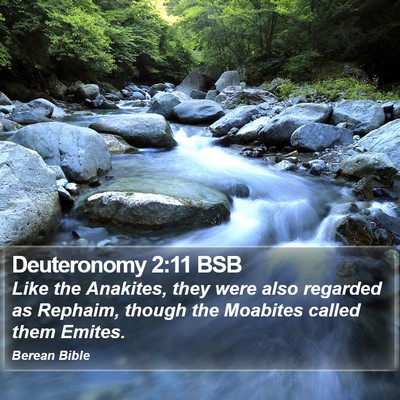 Deuteronomy 2:11 BSB Bible Verse Image