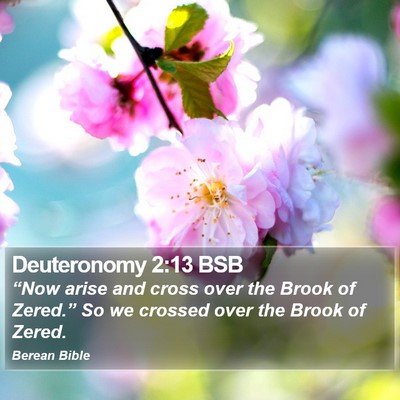 Deuteronomy 2:13 BSB Bible Verse Image