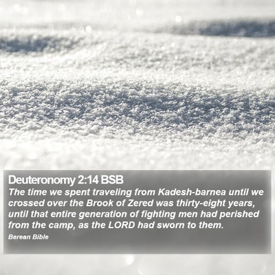 Deuteronomy 2:14 BSB Bible Verse Image
