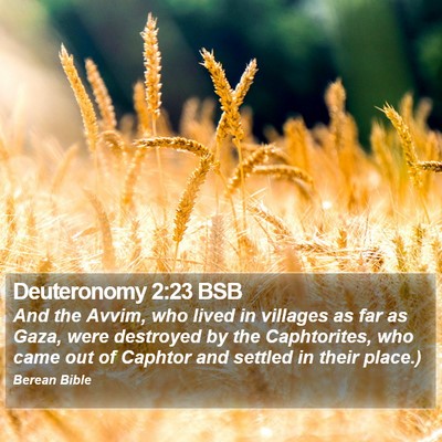 Deuteronomy 2:23 BSB Bible Verse Image