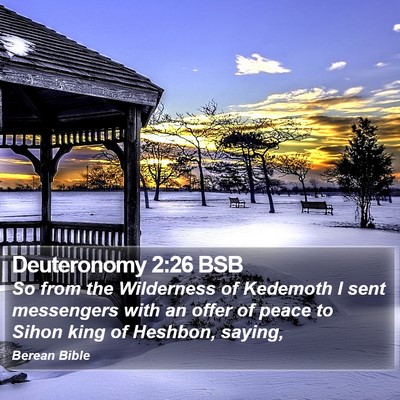 Deuteronomy 2:26 BSB Bible Verse Image
