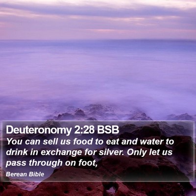 Deuteronomy 2:28 BSB Bible Verse Image