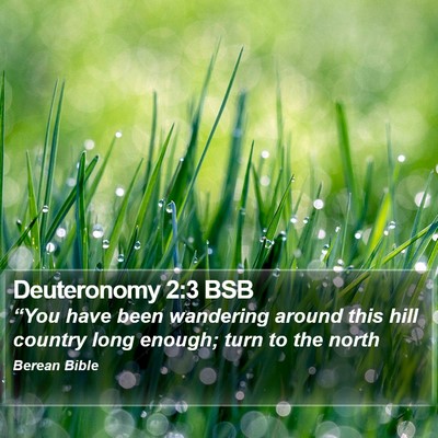Deuteronomy 2:3 BSB Bible Verse Image