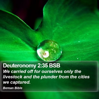 Deuteronomy 2:35 BSB Bible Verse Image
