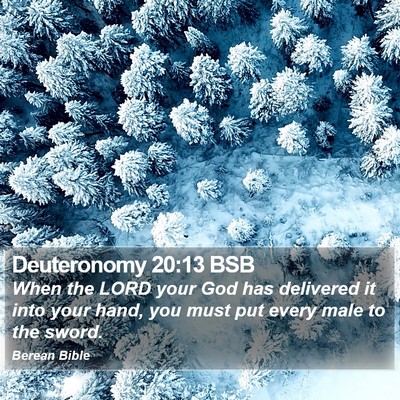 Deuteronomy 20:13 BSB Bible Verse Image