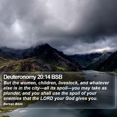 Deuteronomy 20:14 BSB Bible Verse Image