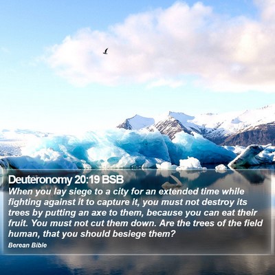 Deuteronomy 20:19 BSB Bible Verse Image
