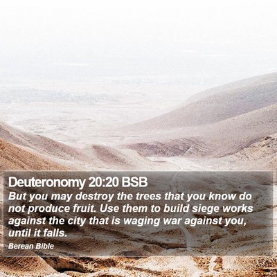 Deuteronomy 20:20 BSB Bible Verse Image
