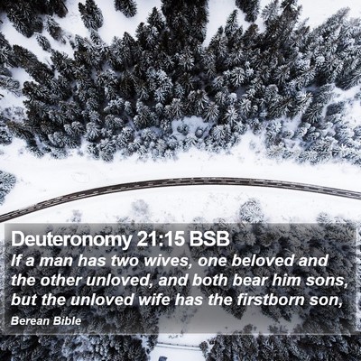 Deuteronomy 21:15 BSB Bible Verse Image