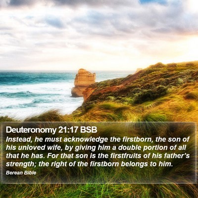 Deuteronomy 21:17 BSB Bible Verse Image