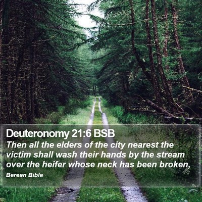 Deuteronomy 21:6 BSB Bible Verse Image