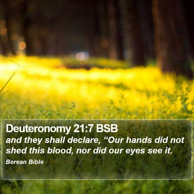 Deuteronomy 21:7 BSB Bible Verse Image