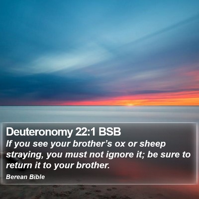 Deuteronomy 22:1 BSB Bible Verse Image