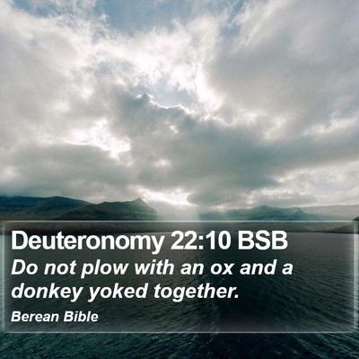 Deuteronomy 22:10 BSB Bible Verse Image