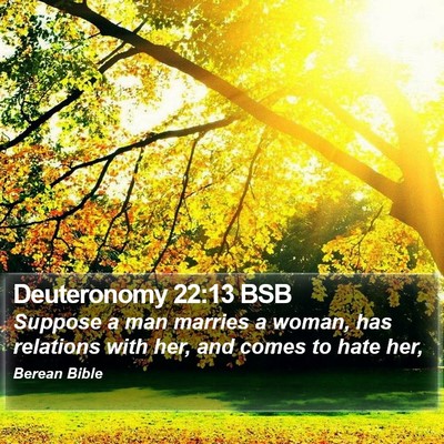 Deuteronomy 22:13 BSB Bible Verse Image
