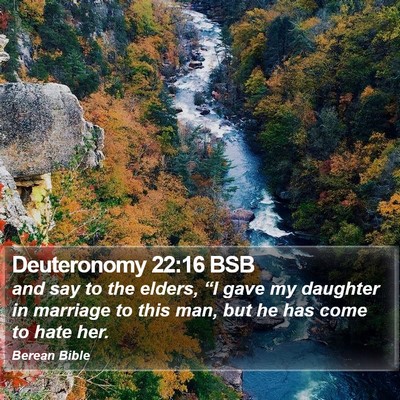 Deuteronomy 22:16 BSB Bible Verse Image