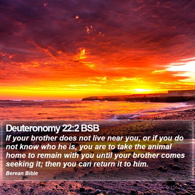 Deuteronomy 22:2 BSB Bible Verse Image