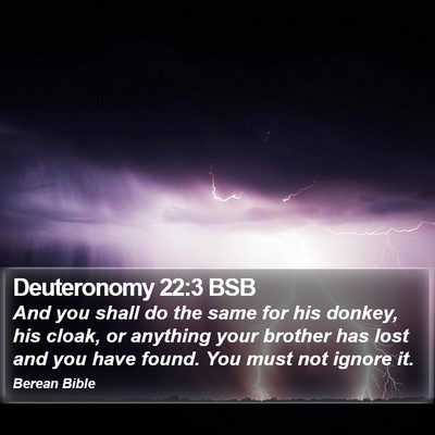 Deuteronomy 22:3 BSB Bible Verse Image