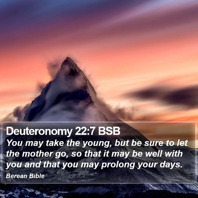 Deuteronomy 22:7 BSB Bible Verse Image